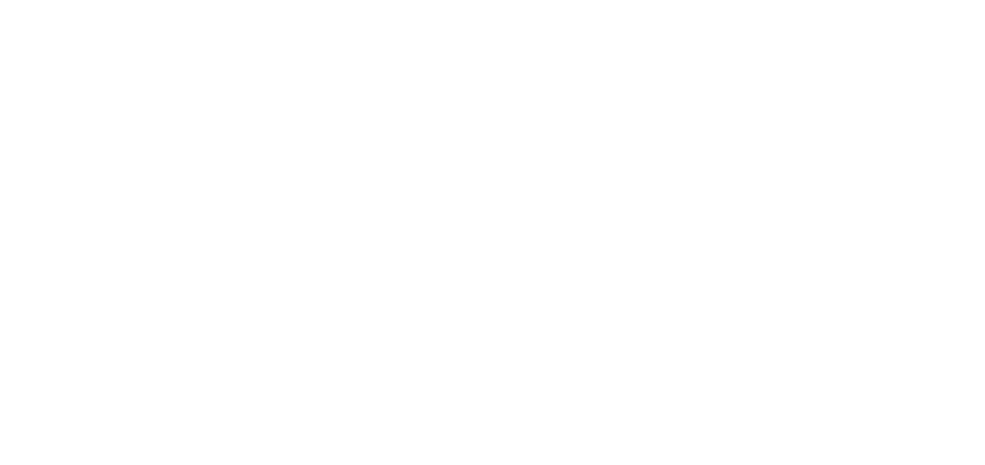 LightArray Capital